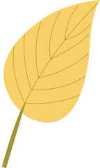 autumn leaves and autumn illustration