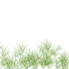 green grass transparent brush strokes element