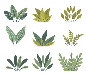 Vector set of tropical bushes isolated from background. Collection of various greenery. Summer plants clipart for stickers, cards.