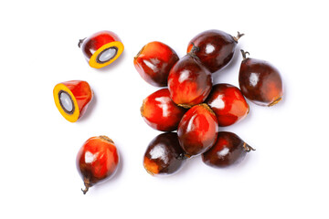 Group of oil palm fruit and cut in half sliced isolated on white background. Top view. Flat lay.