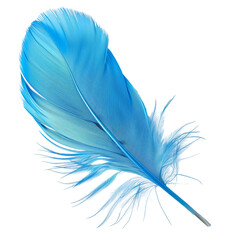 blue feather isolated on transparent background