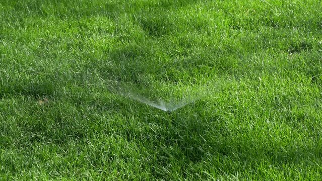 Green lawn sprinkler sprinkler irrigation lawn maintenance