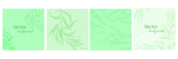 Set of four square social media banners in delicate green colors.Minimalistic style with floral elements and texture.Vector template for card,banner,invitation,social media post,poster,mobile apps.