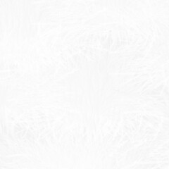 white texture background