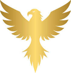 Golden eagle, gold eagle 