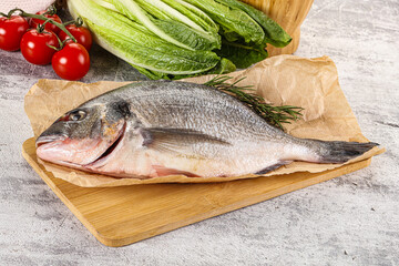 Raw dorada fish served rosemary