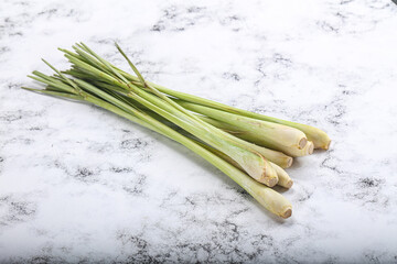 Lemongrass - Asian aroma plant for cooking