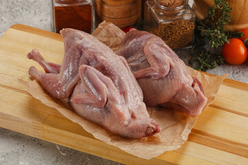 Raw gurmet quail bird preparation