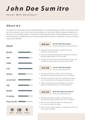 CV Resume Web Developer Template Design