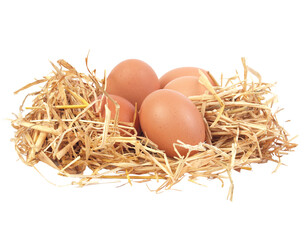 Eggs in nest isolated