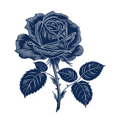 single, unique blue rose with velvety petals blooms gracefully against a crisp white background - obrazy, fototapety, plakaty