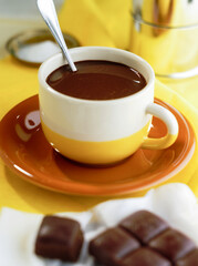 hot chocolate in a cup