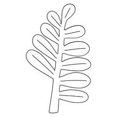 Foliage hand drawn vector illustration in line stroke design