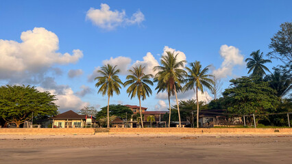 Palm Trees in a Tropical Beach Resort, Lundu Beach Area, Lundu, Sarawak, Malaysia, Southeast Asia.