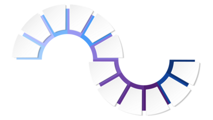 Blue tone circle infographic with 12 steps, process or options.