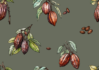 Cocoa tree branch with cocoa beans, chocolate beans, Seamless pattern, background. Vector illustration. In botanical style - 792520404