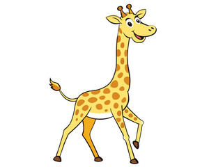 Obraz premium giraffe