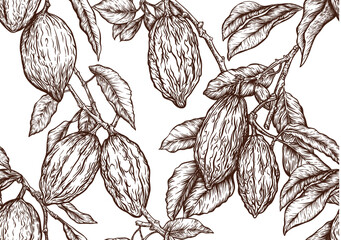 Cocoa tree branch with cocoa beans, chocolate beans, Seamless pattern, background. Vector illustration. In botanical style - 792520682