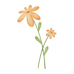 Watercolor orange flower.	