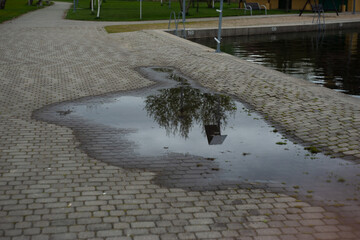 a puddle on a sidewalk near a lake