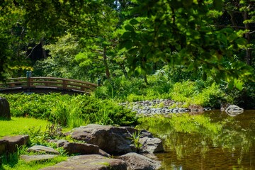 Fototapeta na wymiar Beautiful nature garden japan