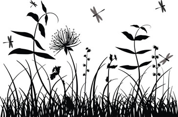 Безымянный-1