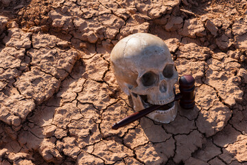Human skull and judge's gavel on heat-cracked clay in the desert - obrazy, fototapety, plakaty