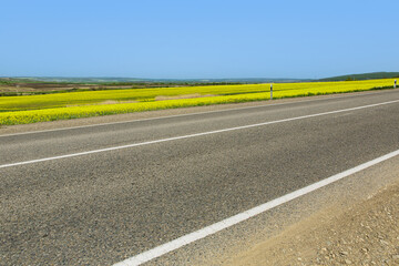 Auto road overlooking rapeseed fields. Asphalt road on a summer day against the backdrop of yellow rapeseed flowers. - obrazy, fototapety, plakaty