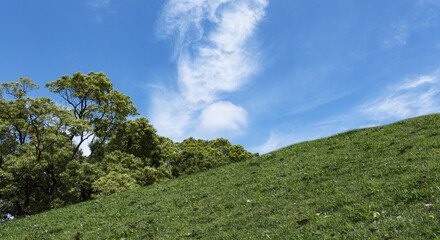 春・夏　煽りで見上げた丘・土手の野原の坂道 森の木々と夏の緑　さわやかな晴天の青空と雲の背景　アウトドア・夏休み・祝日・行楽・観光・旅行・ウォーキング・散歩のイメージ素材