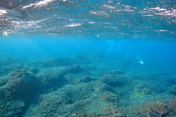 巨大なサンゴ群生を泳ぐスキューバダイバーたち。

スキンダイビングポイントの底土海水浴場。
航路の終点、太平洋の大きな孤島、八丈島。
東京都伊豆諸島。
2020年2月水中撮影。

Scuba divers swim through a huge coral colony.

Sokodo Beach, a skin diving point.
Izu Islands, Tokyo. Japan,
