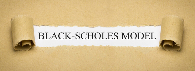Black-Scholes Model
