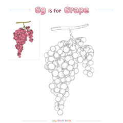 Coloring Page Grape