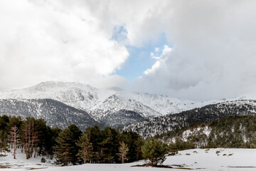 Snowcovered mountains with trees in the foreground under a cloudy sky
