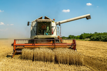 Agriculture machinery at work harvesting golden wheat during sunny day