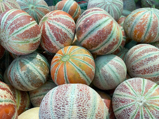 The Kajari melon, also known as the Delhi melon, is a small heirloom melon from the Punjab region...