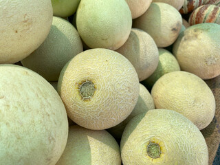 Sweet Green melons or cantaloupe, Honeydew melon, also called honeymelon, is a pale green,...
