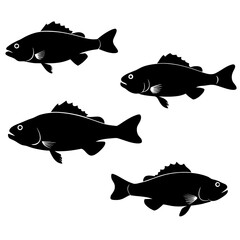 Set of fish silhouette vector illustration