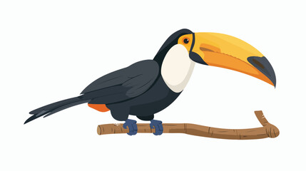 Profile of cute toucan or tucan sitting on tree branch
