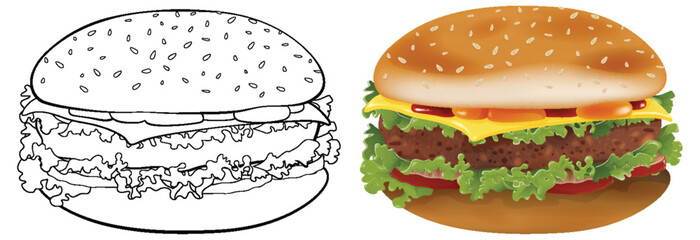 Two stages of burger illustration, sketch and colored