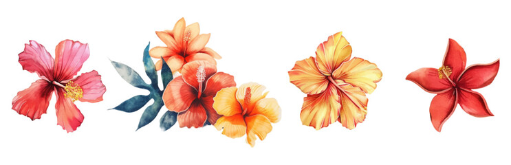 watercolor set of tropical flowers png. Tropical Hawaiian flower elements on a transparent background. Vector illustration © Narin