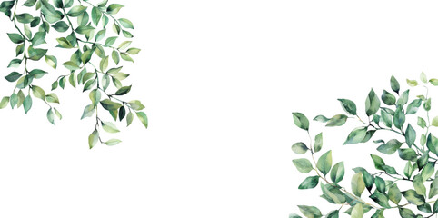 Obraz premium Watercolor green branches, minimalistic vector banner. Hand-painted plants, branches, leaves on a white background. Green wedding simple horizontal pattern. Watercolor style card.