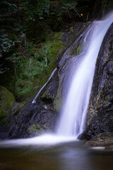 waterfall in the forest