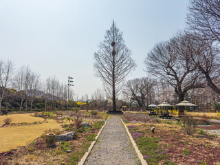 dutch windmill in spring