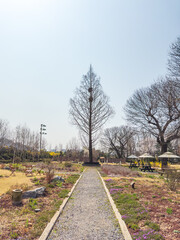 railway in the countryside