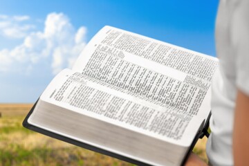 Open bible book in hands at wheat field