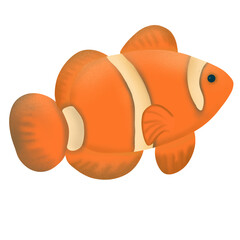 fish on a white background