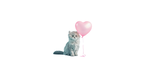 happy Persian cat holding a pink heart balloon on a light blue background, 
