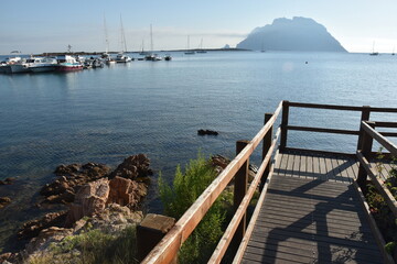 Particulars and details of the island of Tavolara and its surroundings. Sea, colours, flowers, sun. Sardinia, Italy(Sardegna, Italia)