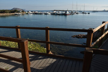 Particulars and details of the island of Tavolara and its surroundings. Sea, colours, flowers, sun. Sardinia, Italy(Sardegna, Italia)