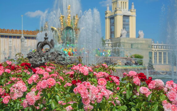 Roses and fountains of the Exhibition of Achievements of the National Economy (VDNH)